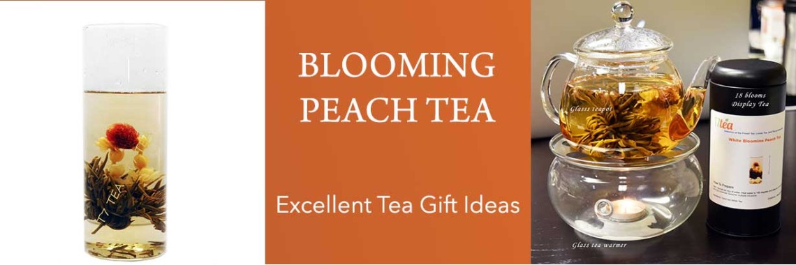 Follow us on Twitter